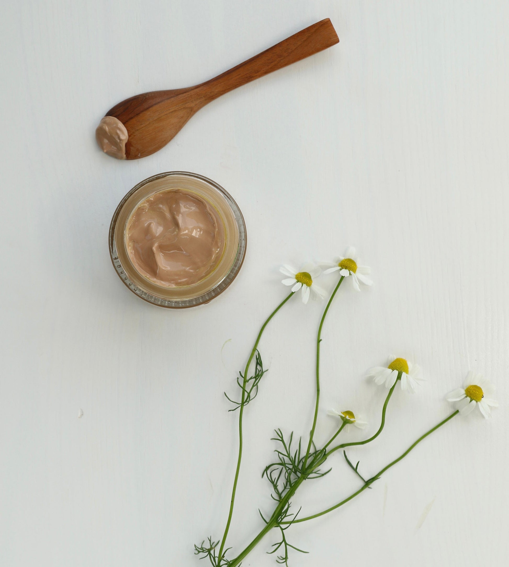 Cordyceps, Marshmallow & Chamomile Tinted Correcting Cream